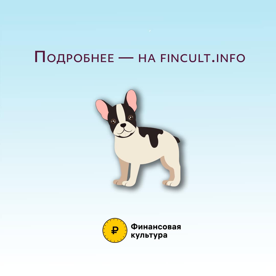 Как и от чего можно застраховать свое имущество
