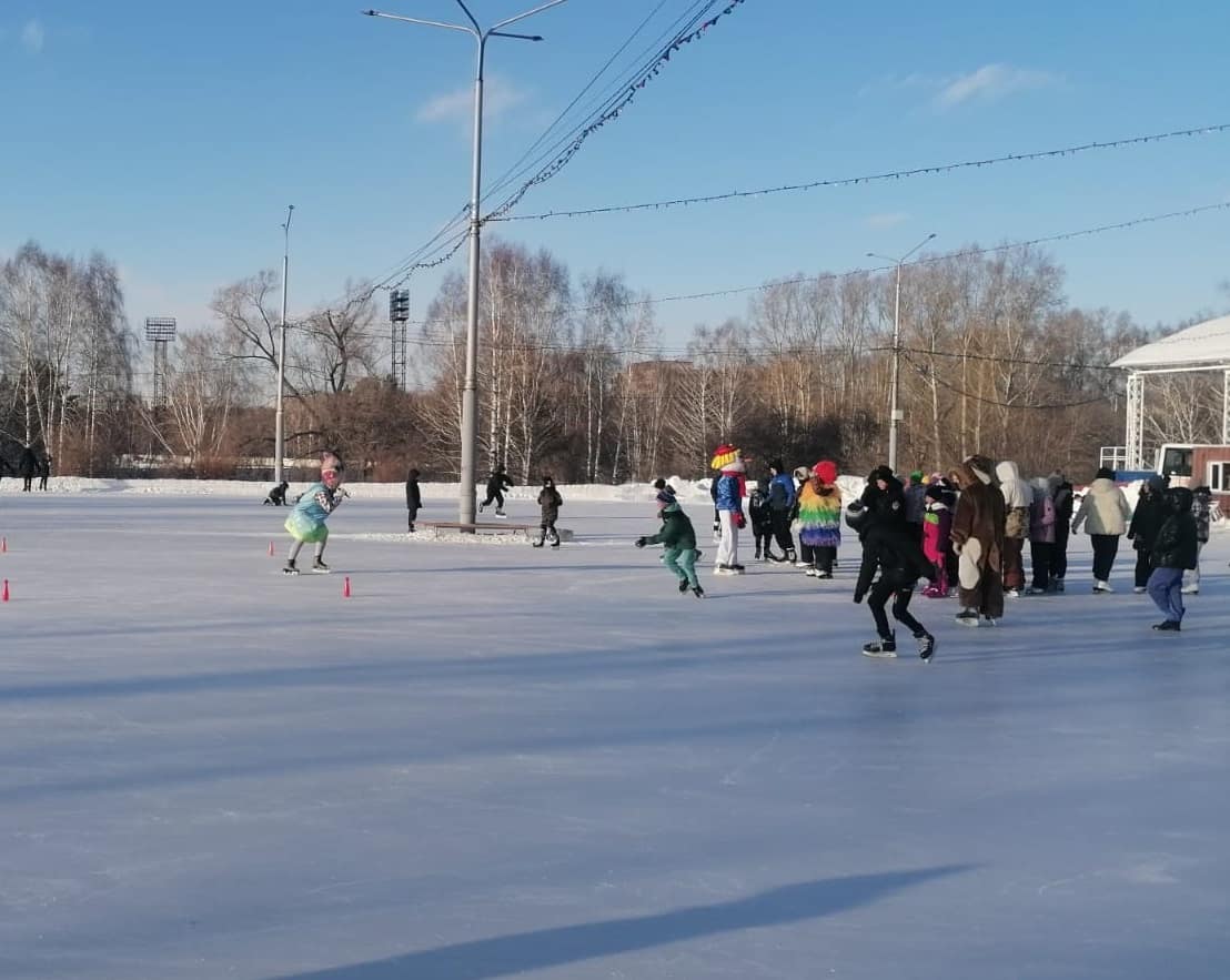 «Веселые коньки»